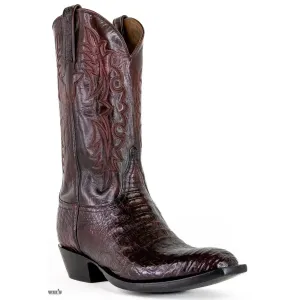 Lucchese Cowboy Boots 14" Exotic Caiman/Buffalo